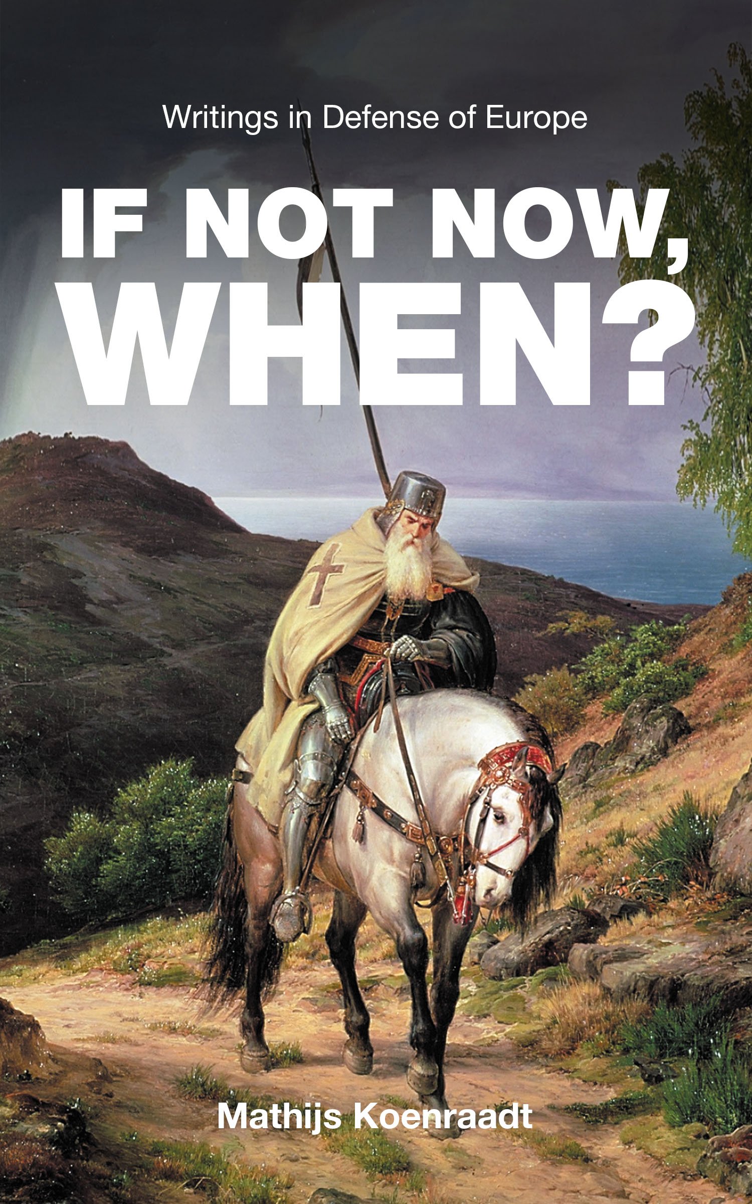If Not Now, When?: Writings in Defense of Europe product image (1)