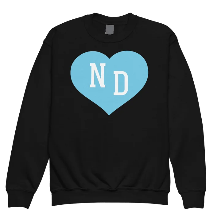 ND Heart Blue Youth Unisex Sweatshirt product image (1)