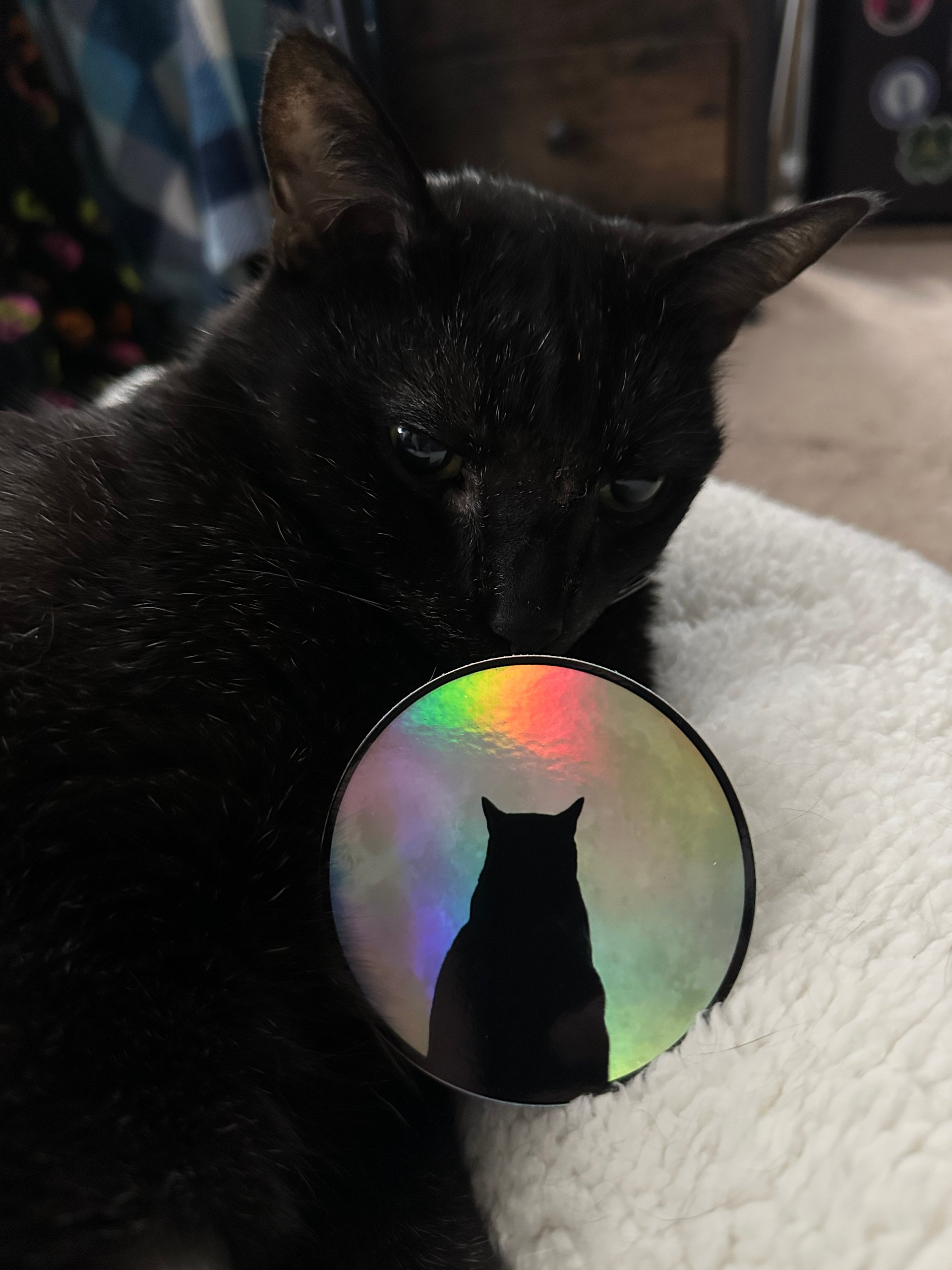 Holographic Manny moon sticker product image (2)