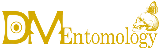 DM Entomology