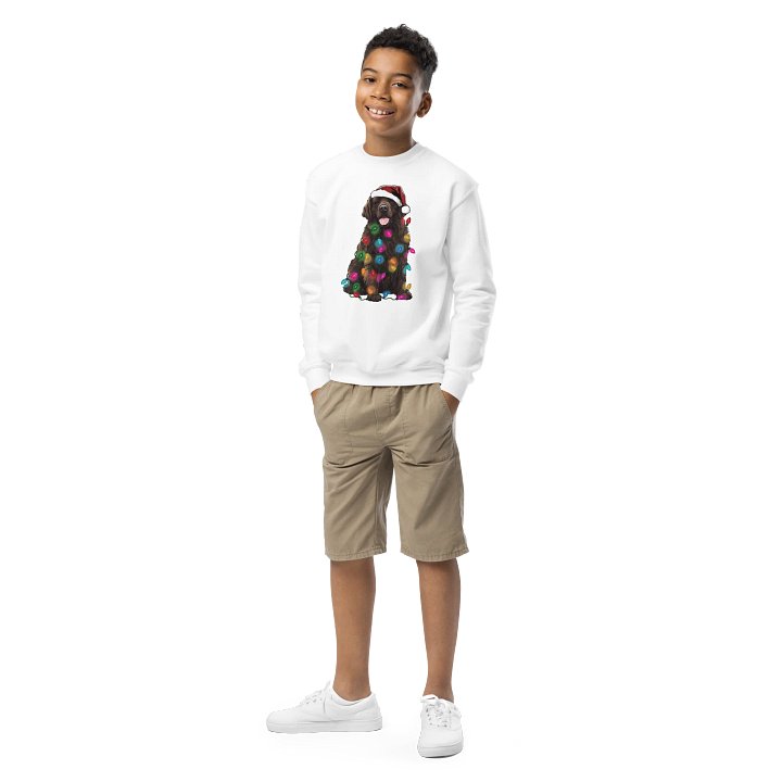 Funny Christmas Newfoundland(Brown) Youth Sweatshirt product image (1)