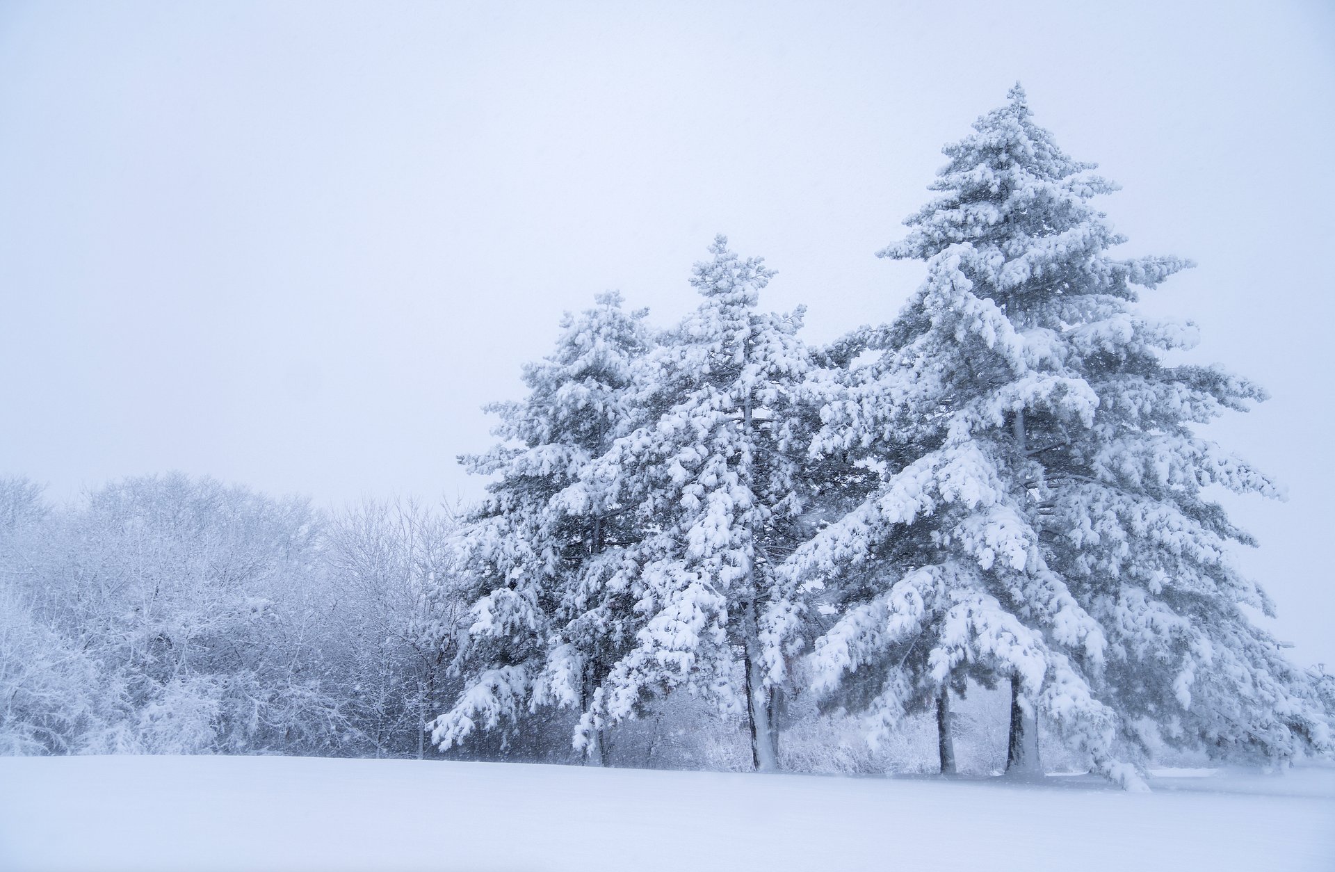 Snow Place Like Home product image (1)
