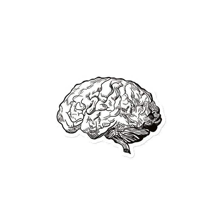 Brain Magnet product image (2)