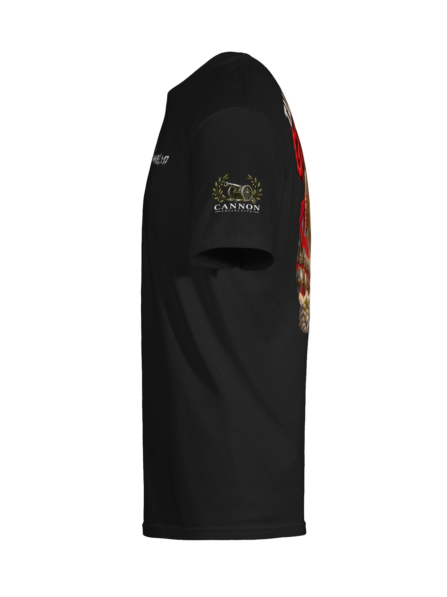 David and Goliath product image (9)