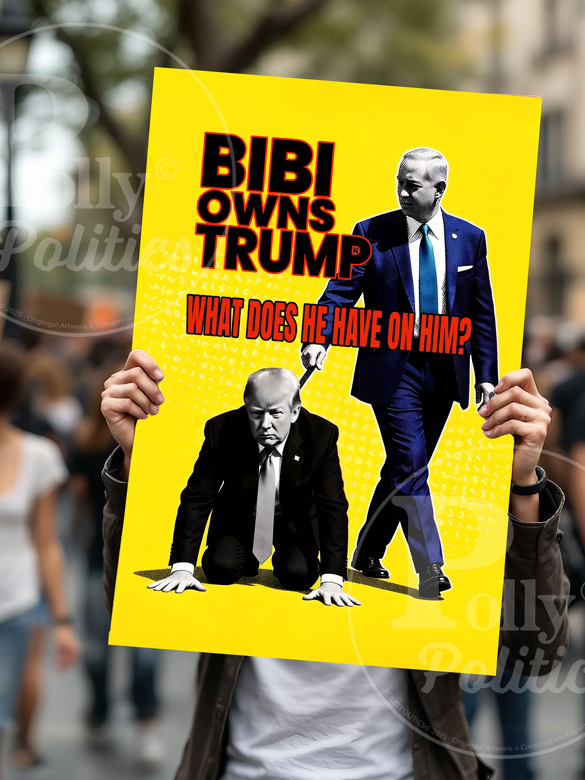 Bibi Owns Trump Protest Sign product image (1)