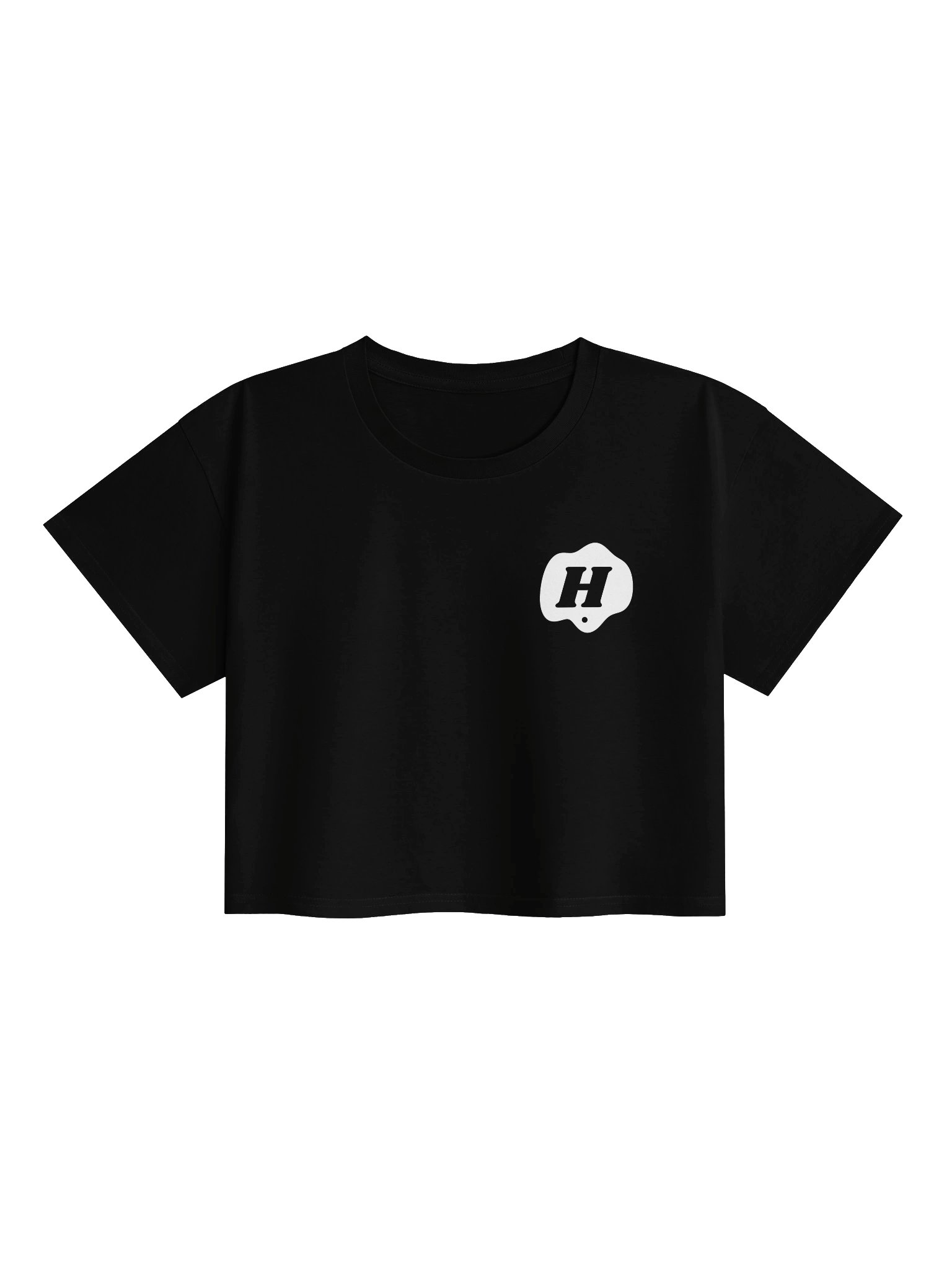 House Music Saved My Life Crop Top product image (1)