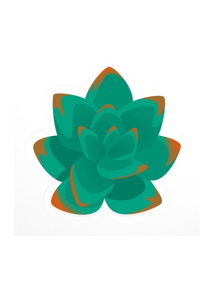 Echeveria product image (1)