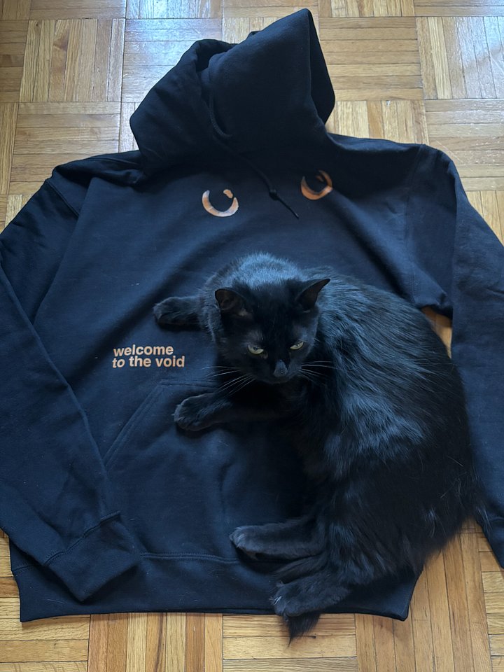 Welcome to the void hoodie 🐈‍⬛ product image (1)
