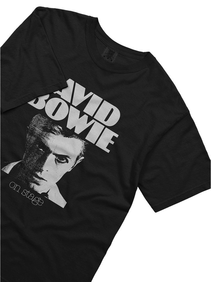 David Bowie on Stage - The 1978 World Tour product image (2)