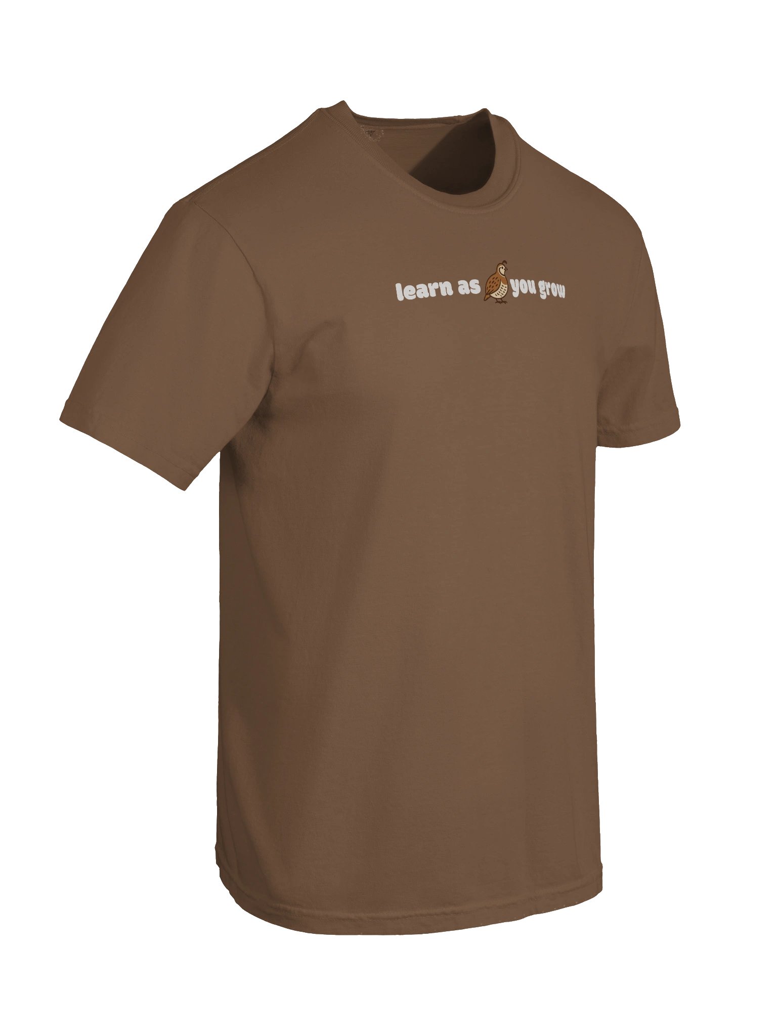 Learn As You Grow Vol. 2 - Comfort Color Tee product image (8)