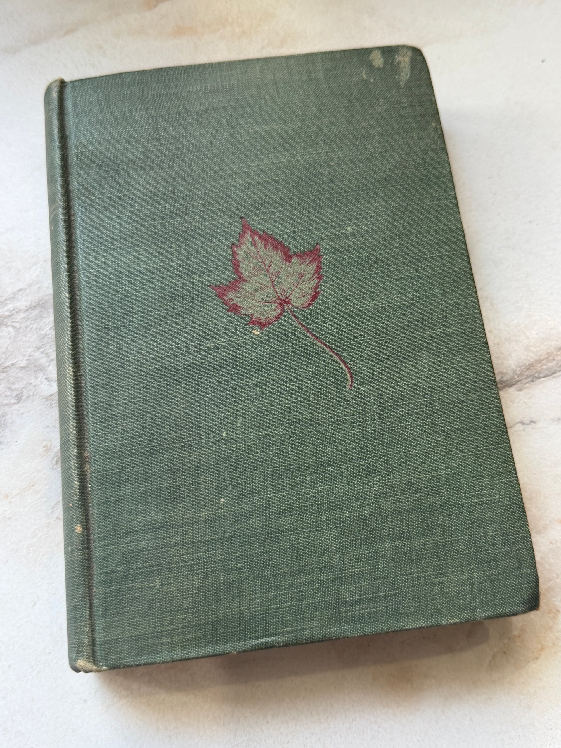 c. 1910s | Adam Bede | George Eliot | Antique Illustrated Hardcover product image (2)