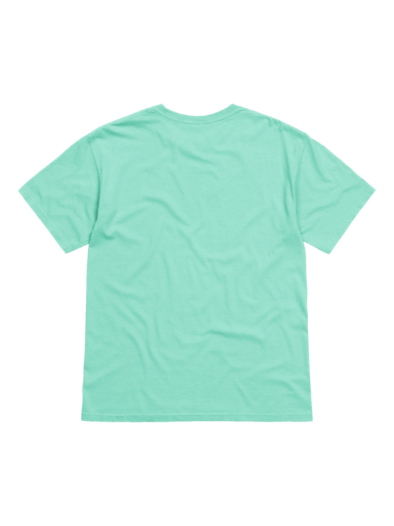 Ferrets | Sneak Steal Sleep | T-Shirt product image (32)