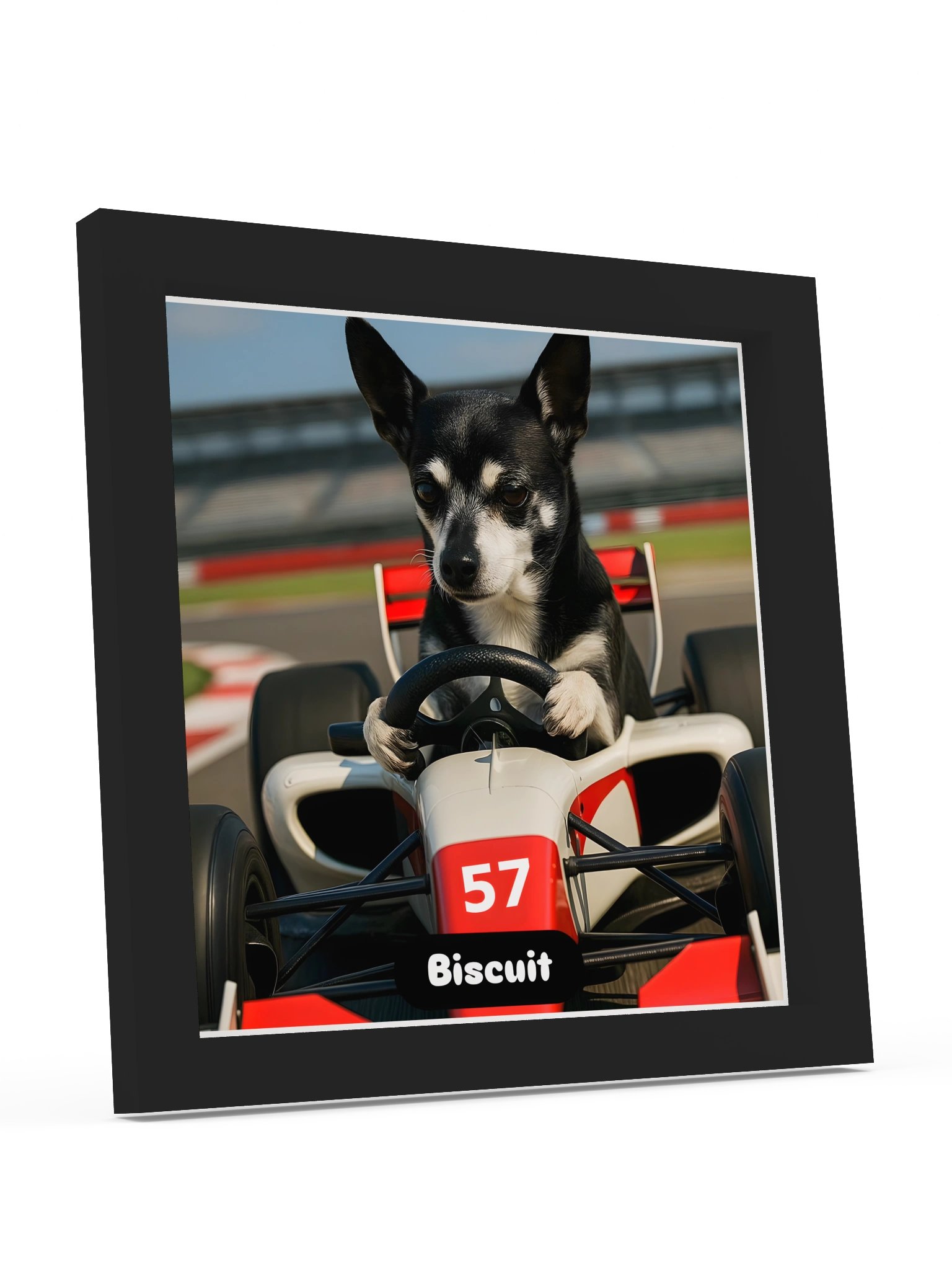 Biscuit at Silverstone product image (8)