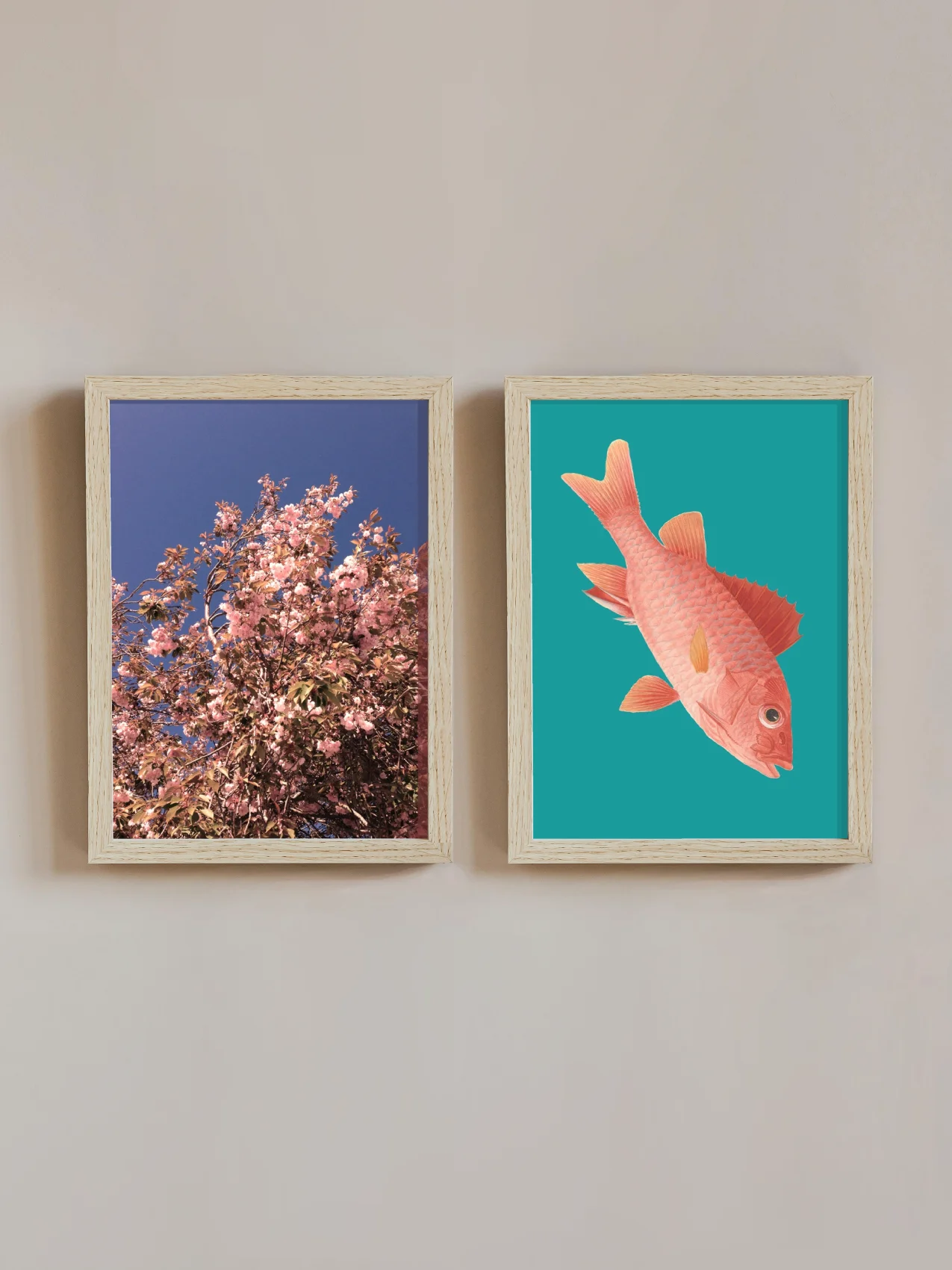 Cherry blossom and pink fish product image (1)