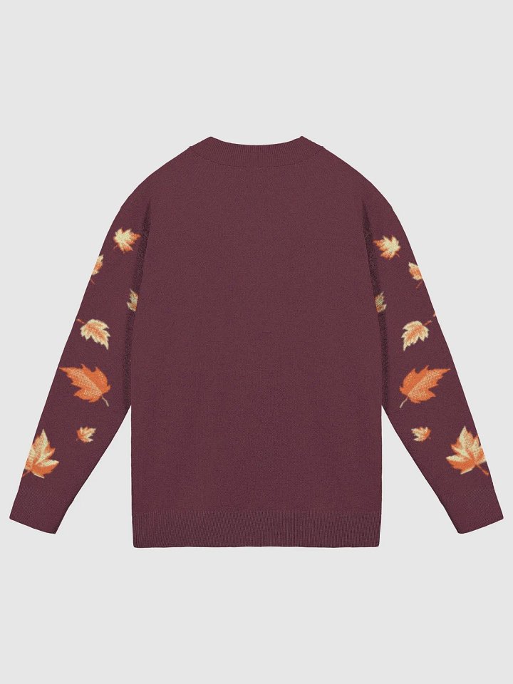 Possum Spice Latte Cardigan product image (2)