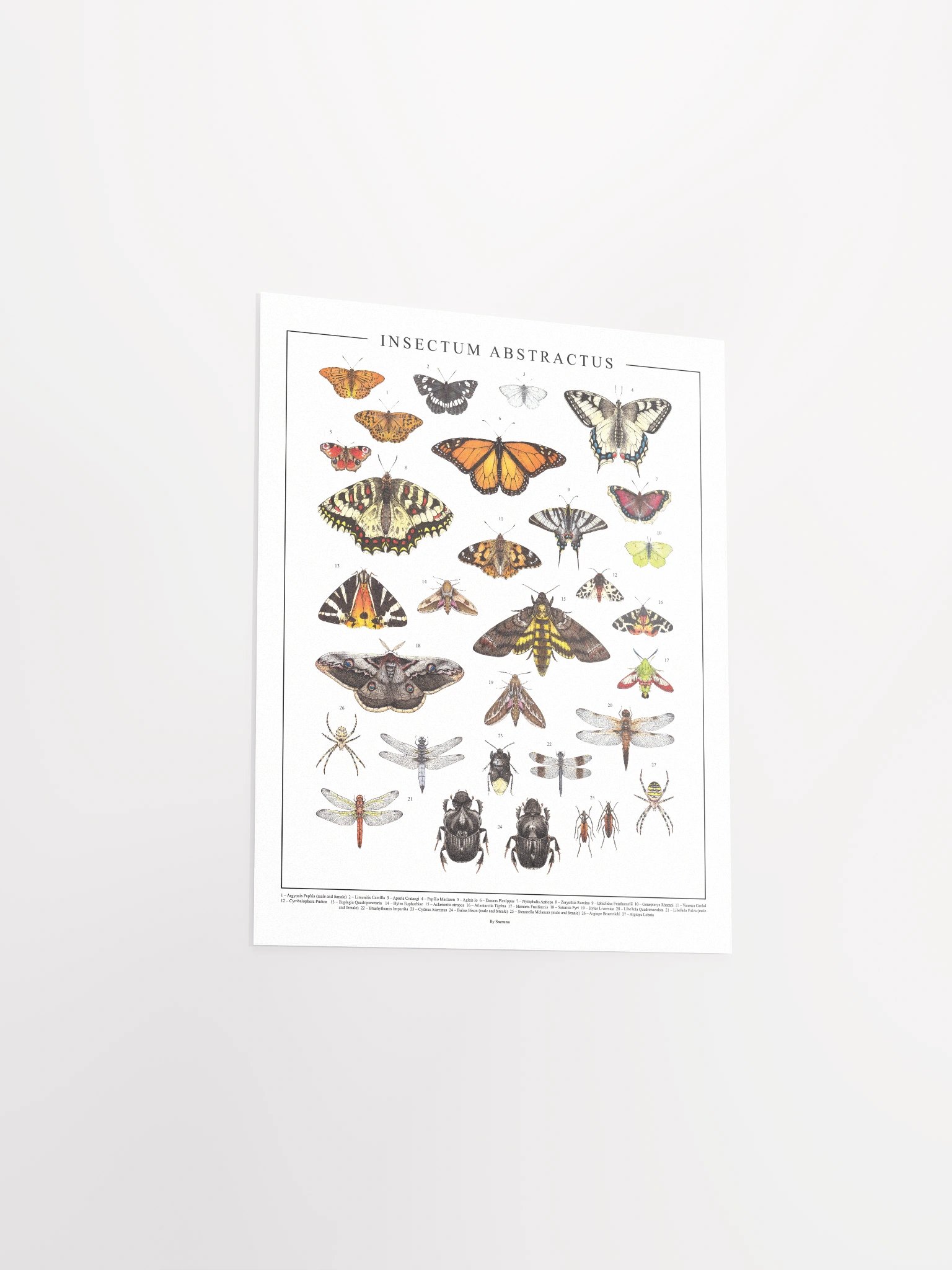 Insectum Abstractus, Whole • Print product image (3)