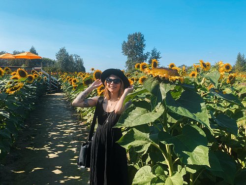 enjoying end of summer as we enter hoa hoa season. last image is my brand.🌻