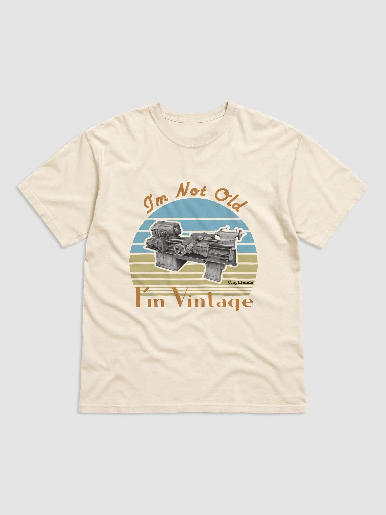 Heavyweight T-Shirt (12CK) product image (1)