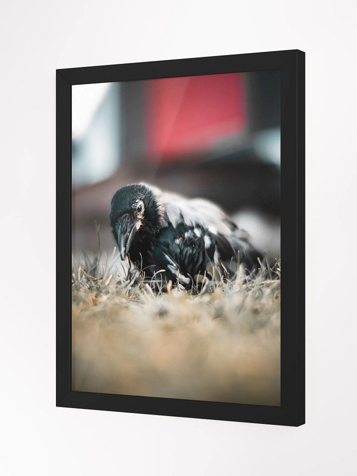 Hafez's Garden Adventure product image (2)