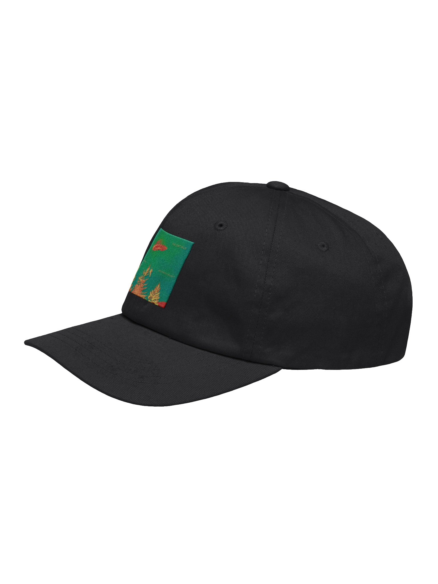 The Dirt Pack Dad Hat product image (3)