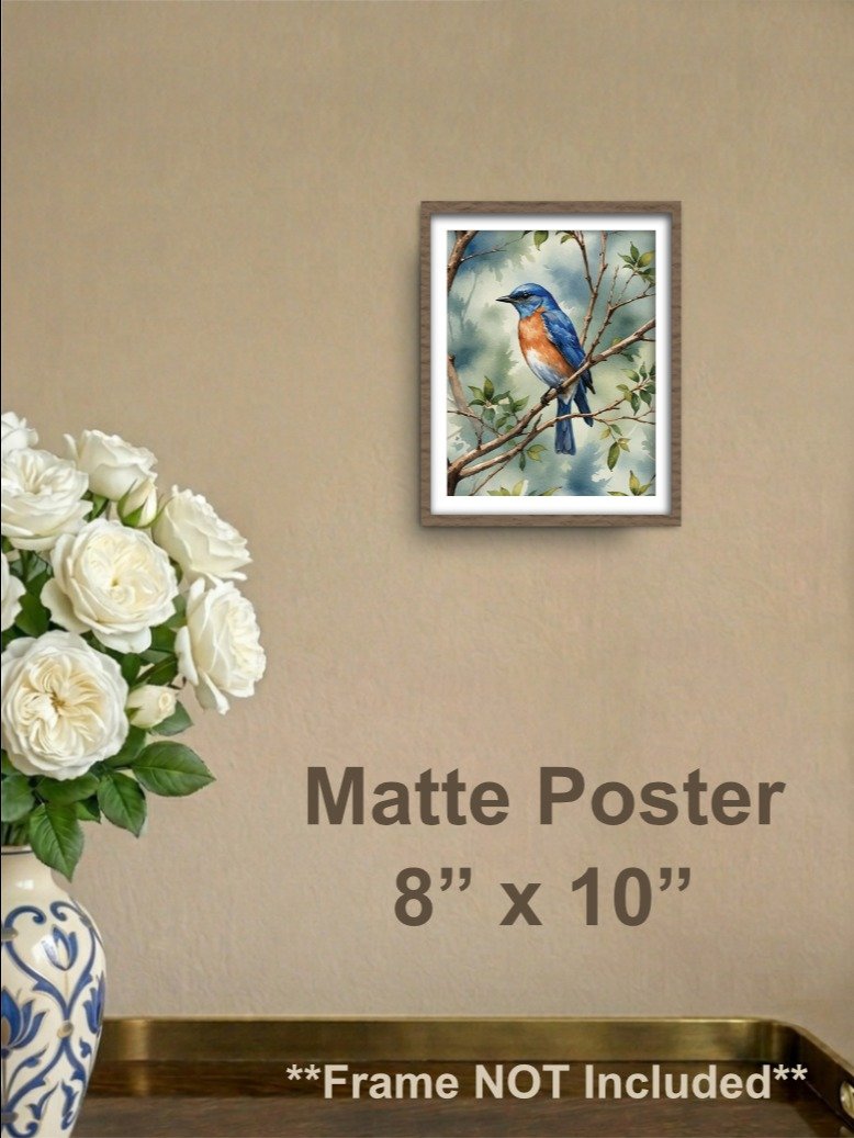 Eastern Bluebird Matte Poster product image (1)