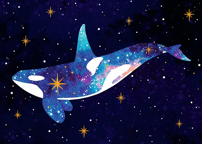 Galaxy Orca
