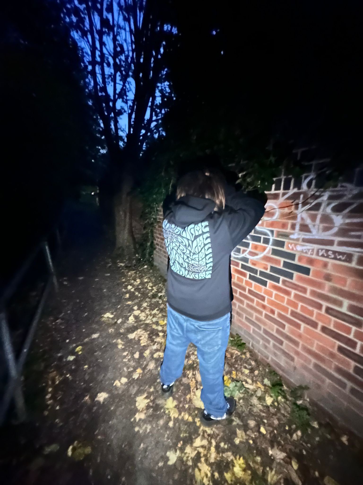 Cloudlight x Chinberclart - Hoodie Edition product image (11)