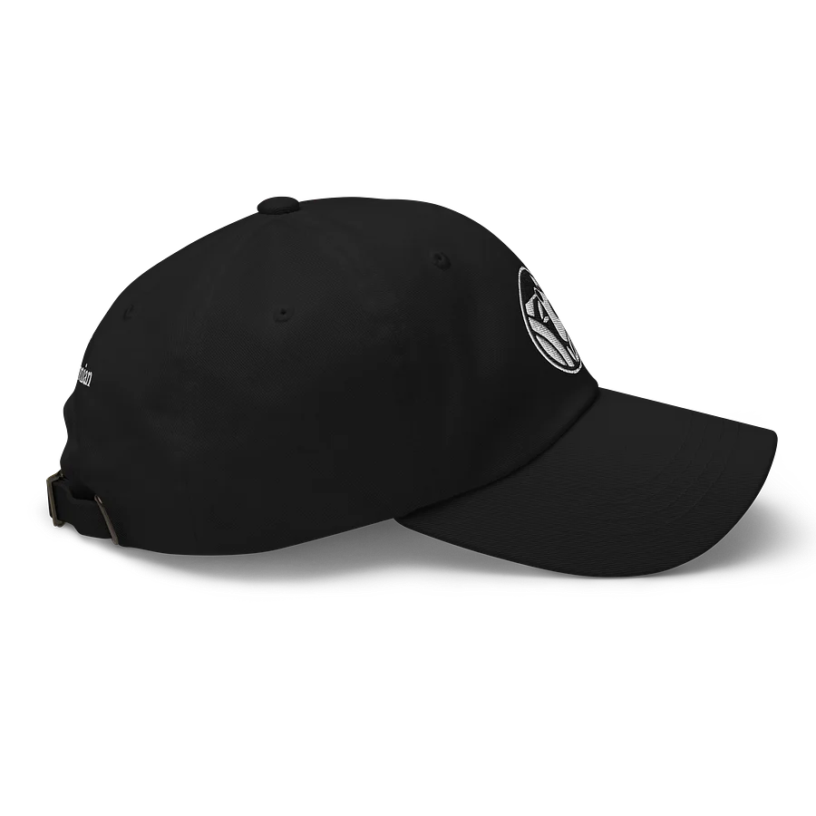 Panda Hat Image 5