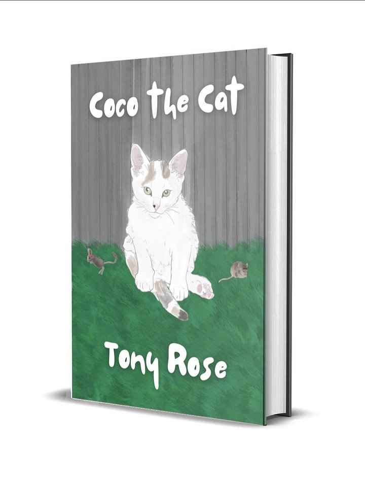 Coco The Cat - eBook product image (1)