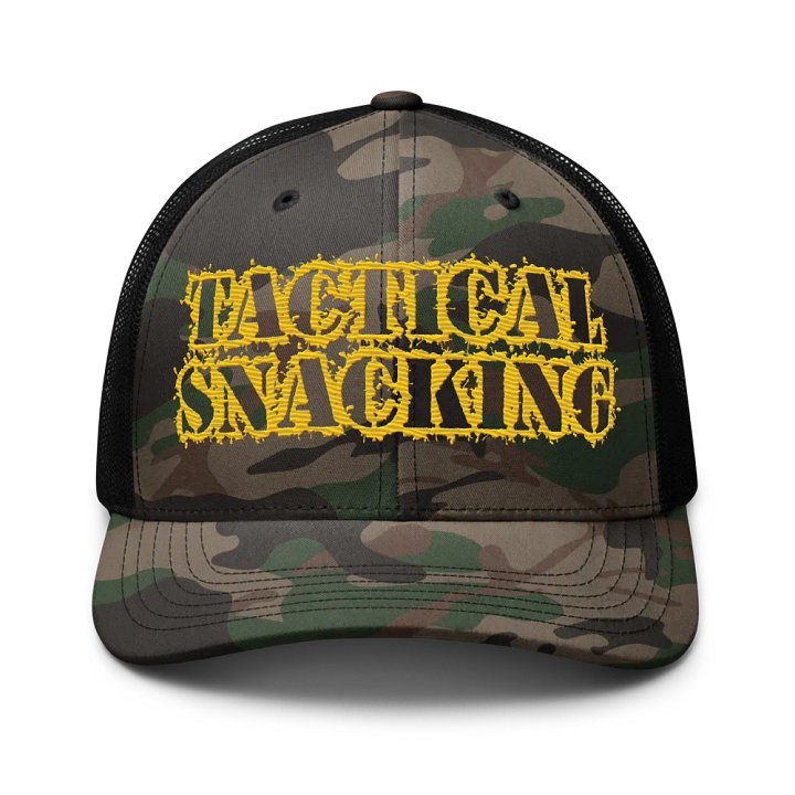 The "Why Didn't We Make This Sooner" Hat product image (1)