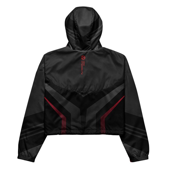 Bad Chemistry: Wind Crop Hoodie product image (2)