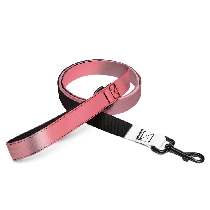 Pet Leash product image (1)