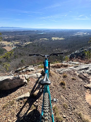 This episode of bike porn brought to you by @ari.bikes
