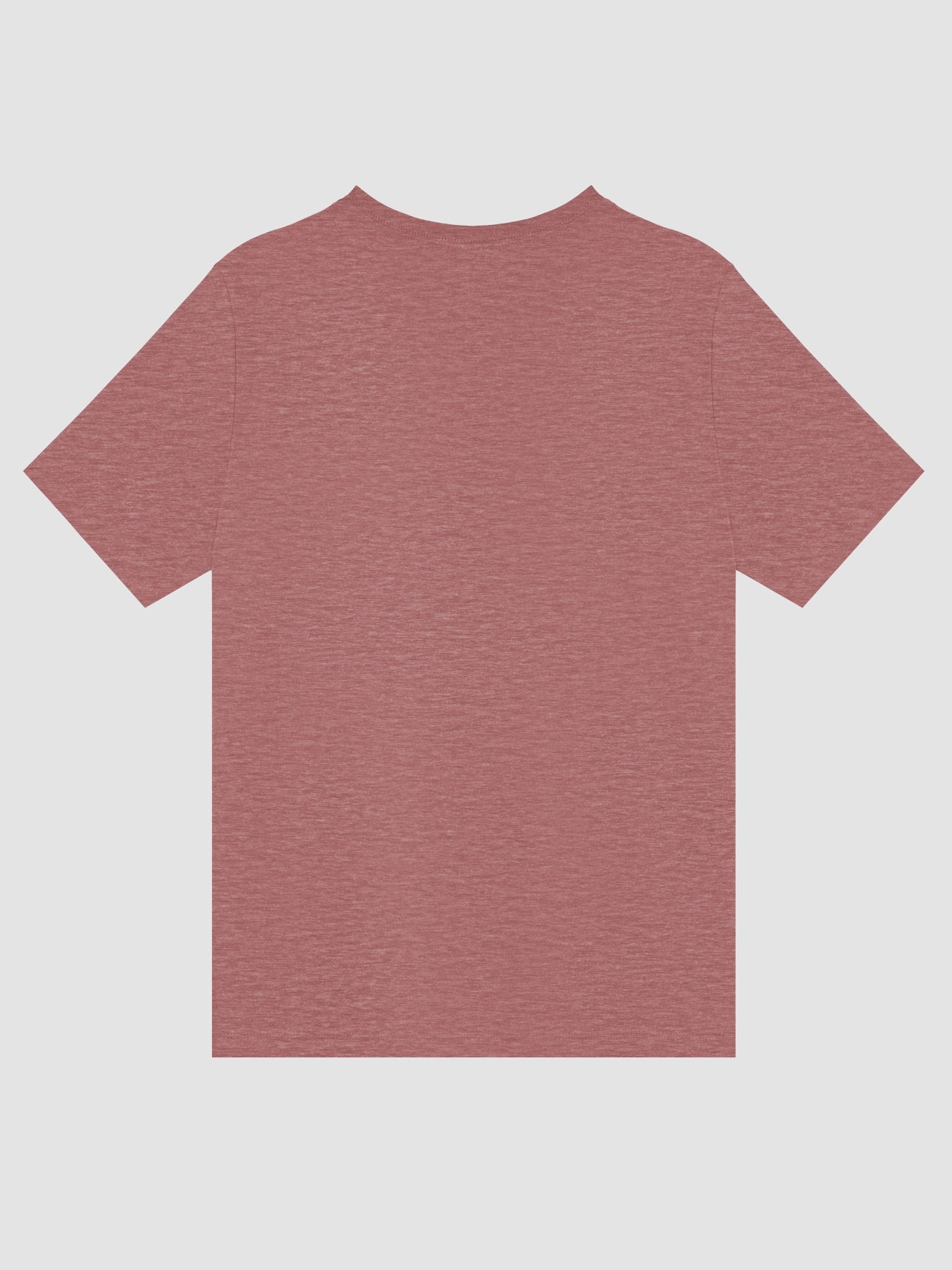 Women's V-neck Shipwrecks and Sea Dogs Logo T-Shirt product image (17)
