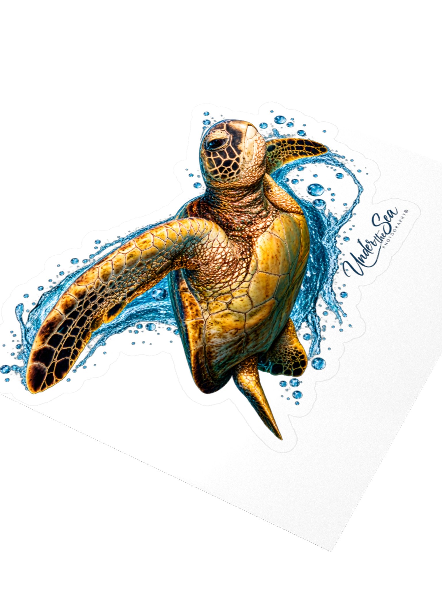 Hawaiian Green in the Blue Sea Turtle Stickers product image (8)