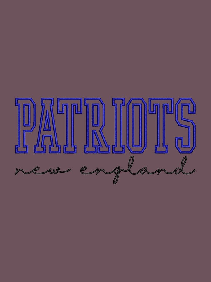 NFL PATRIOTS APPLIQUE product image (1)
