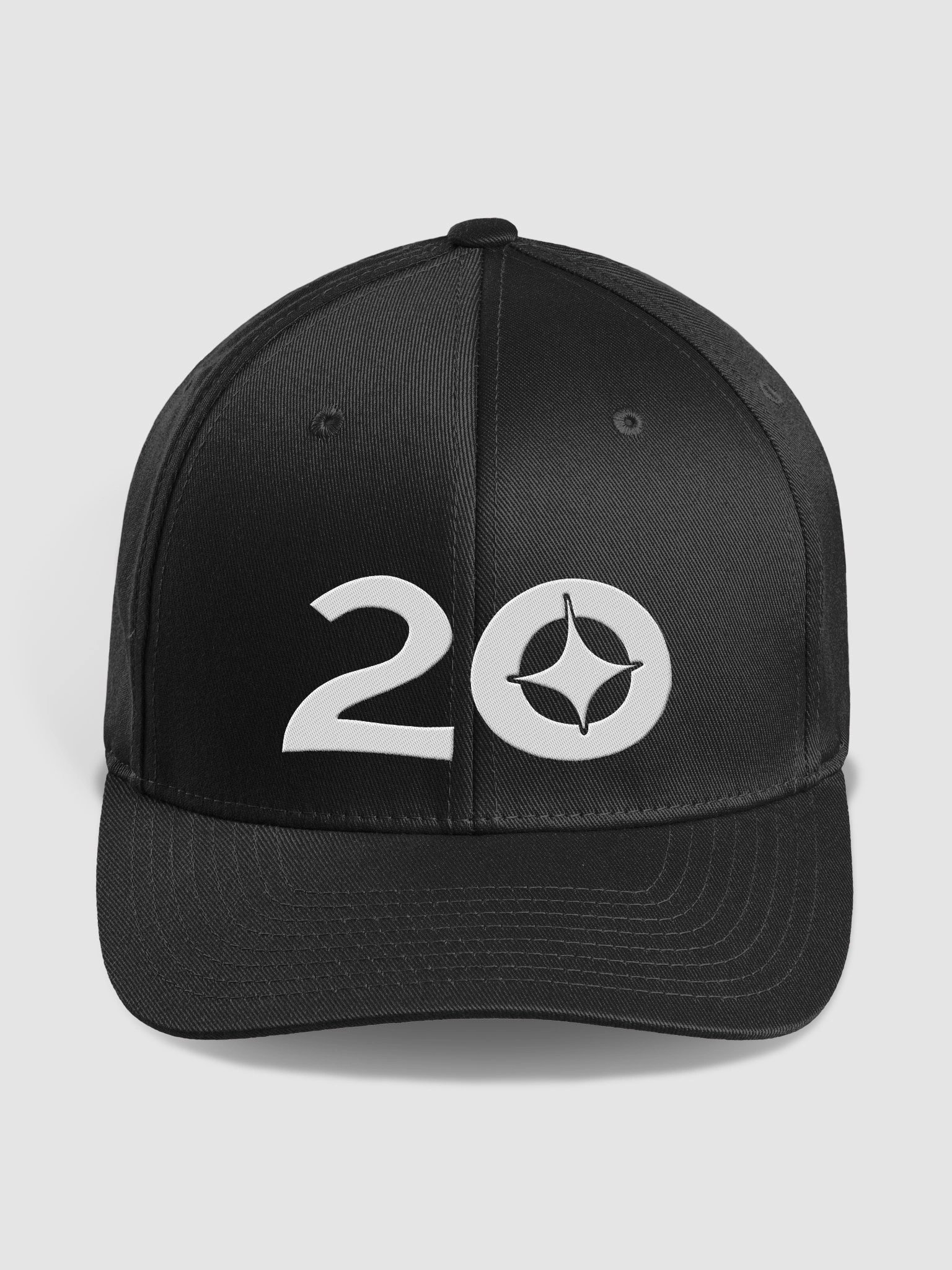 Embroidered Fitted Hat product image (1)