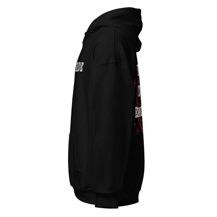 RDE Hoodie Black product image (2)