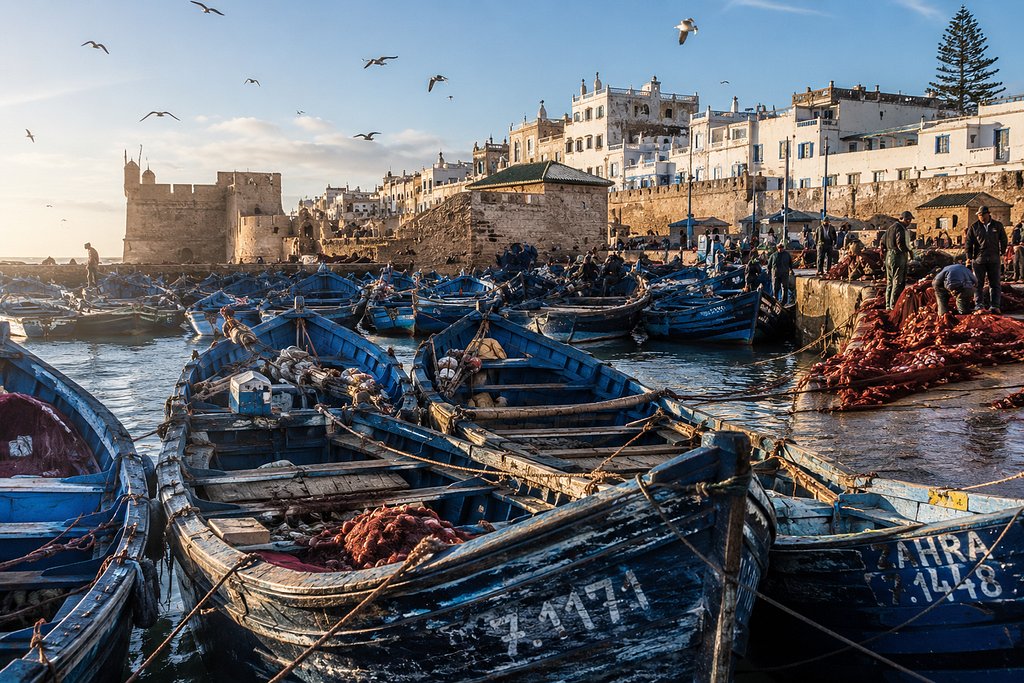 Traditional blue fishing boats crowded in the harbor of Essaouira, Morocco, with fishermen, seagulls, historic stone walls, and white coastal buildings in the background.