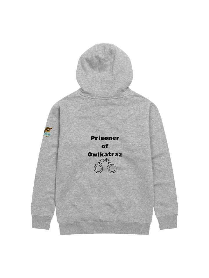 Owlkatraz Hoodie product image (13)
