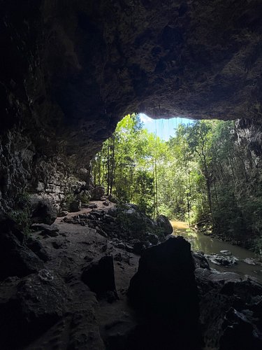 Gisei naku shite seikō wanai ◾️

#cave #nature