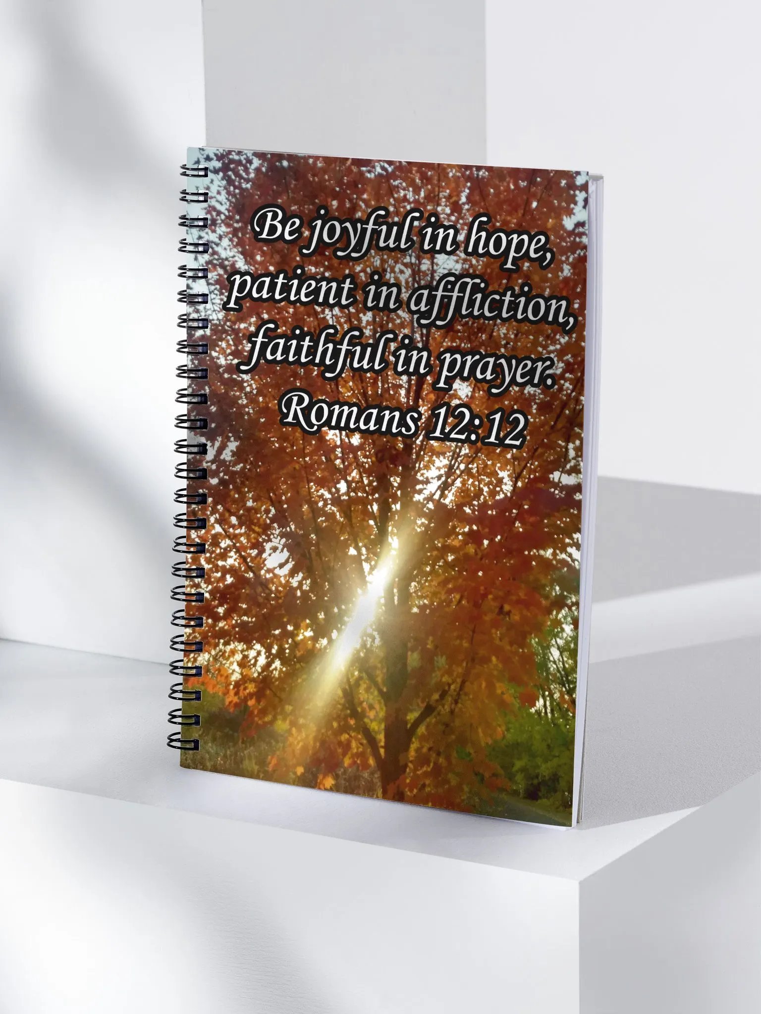 Joyful in Hope - Journal product image (4)