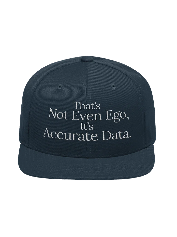 Accurate Data Snapback product image (1)