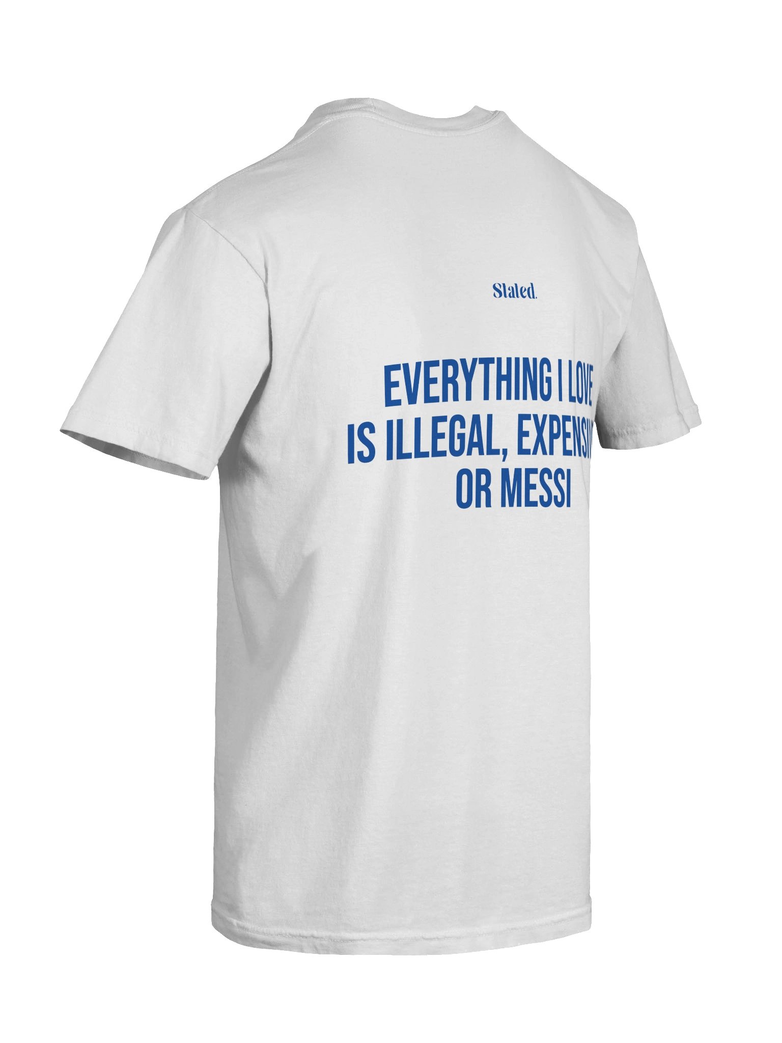 EVERYTHING I LOVE IS ILLEGAL, EXPENSIVE, OR MESSI TEE product image (3)