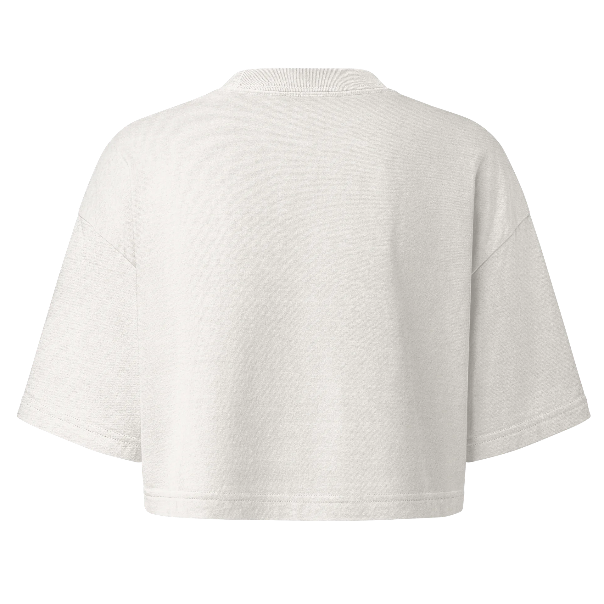 No Pambiguity. product image (2)