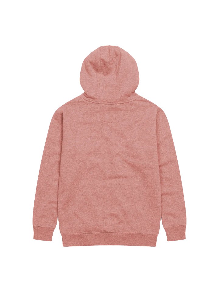FROGMONEY2025 Palian 1%er Embroidered Hoodie product image (13)
