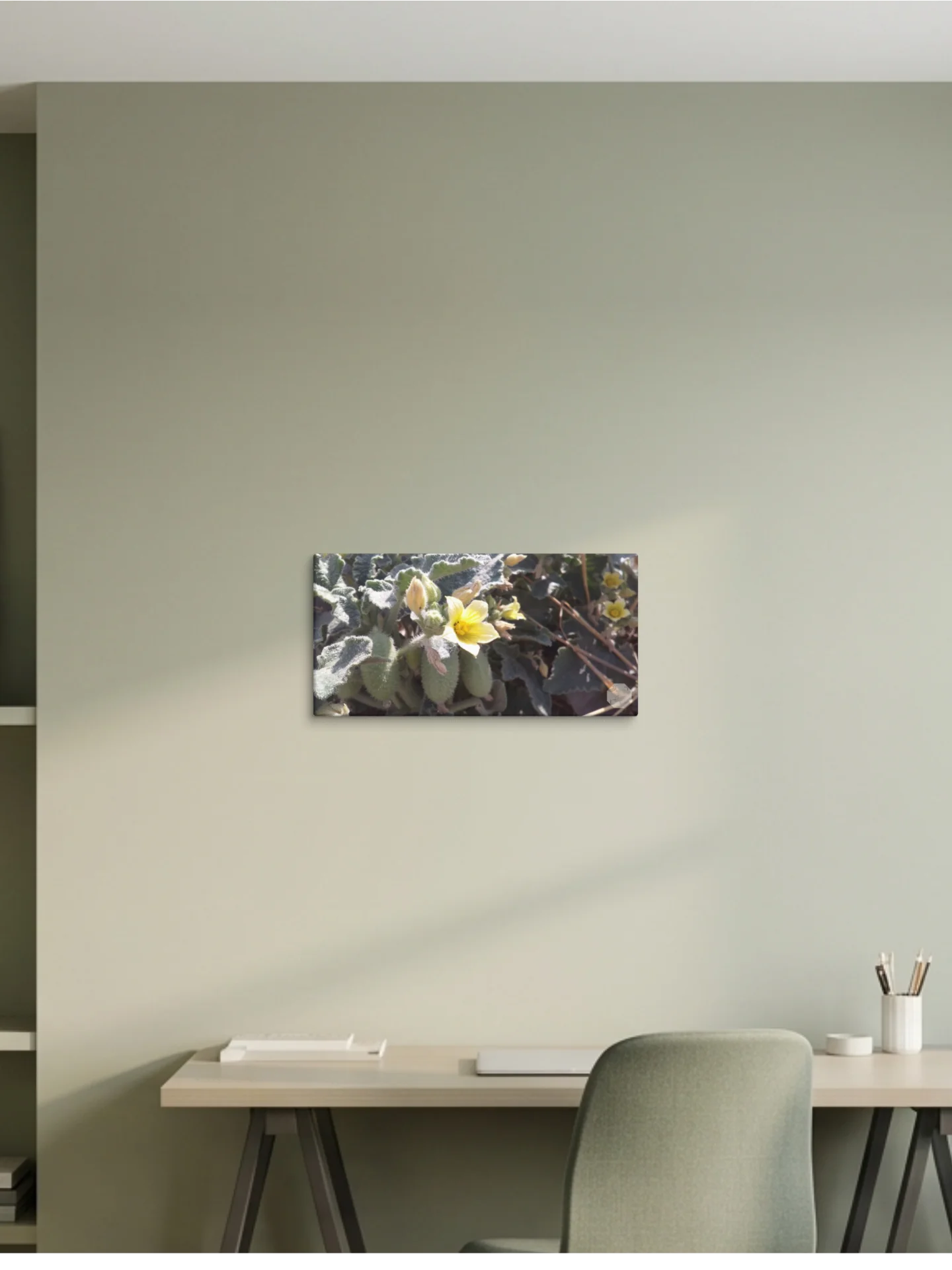 P. Dipsaceus - Canvas Fine Art product image (1)