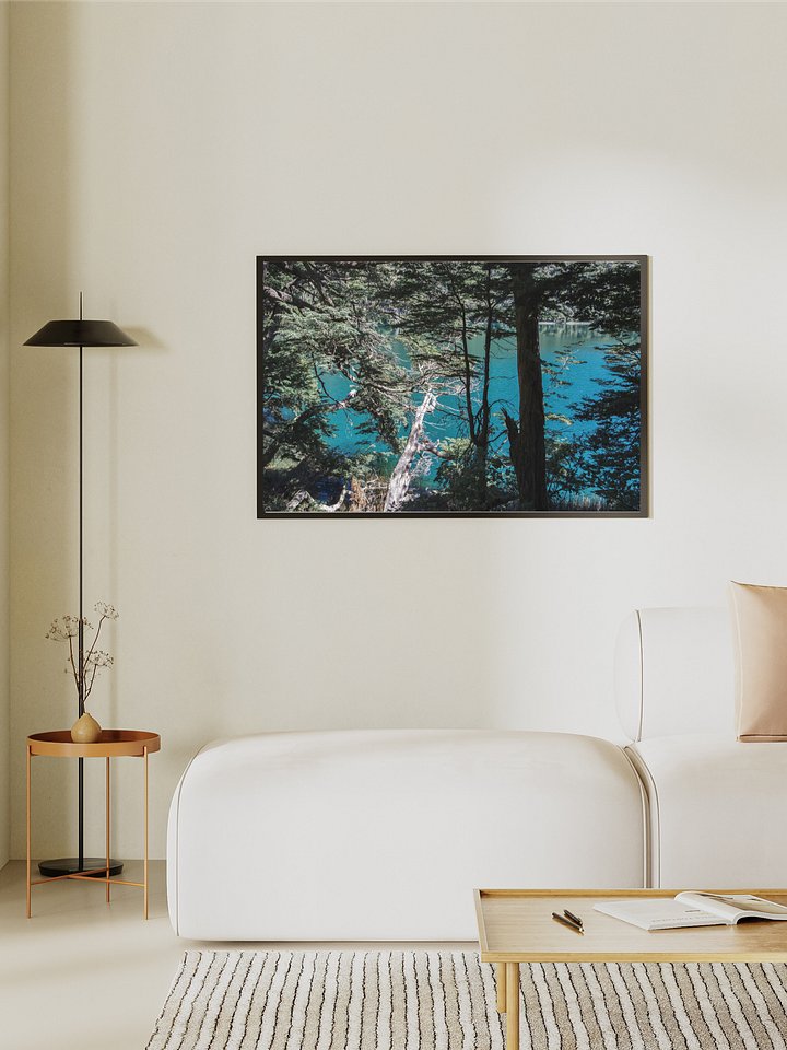 Lago Espejo Patagonia - Enhanced Matte Paper Poster product image (1)
