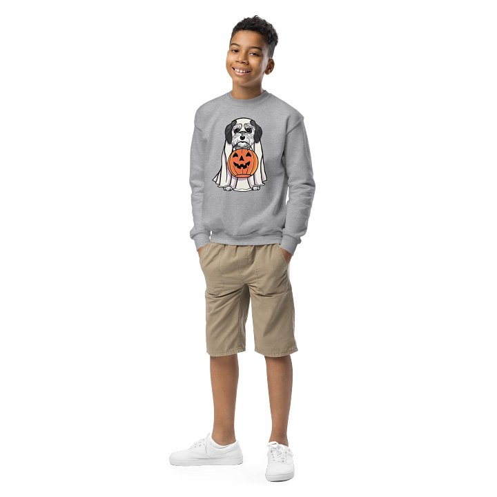 Halloween Havanese(Black & White) Youth Sweatshirt product image (2)