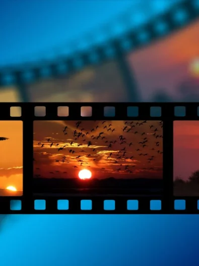 PHOTO FILM SERVICES product image (1)
